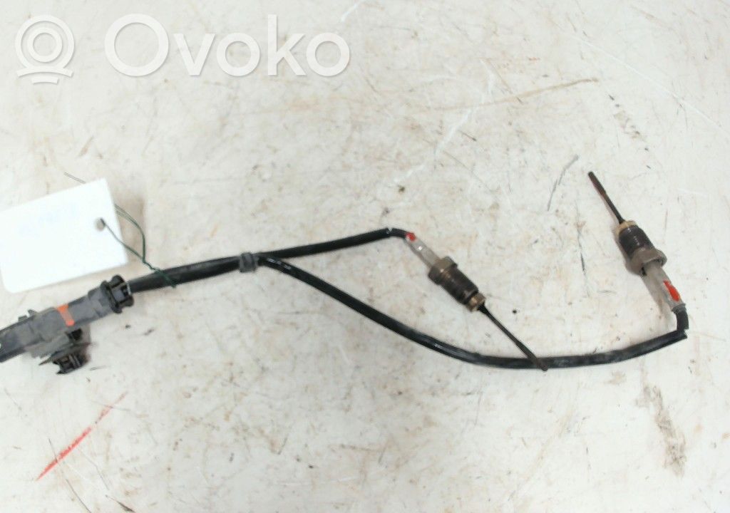Abgastemperatursensor   9808312080,9808312080