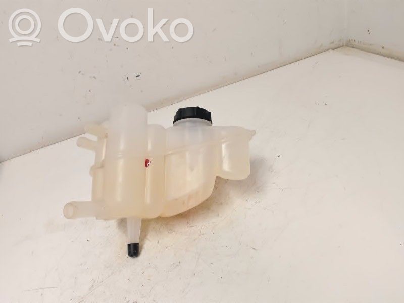 Ford Mondeo MK V Vas expansiune/rezervor lichid de răcire 