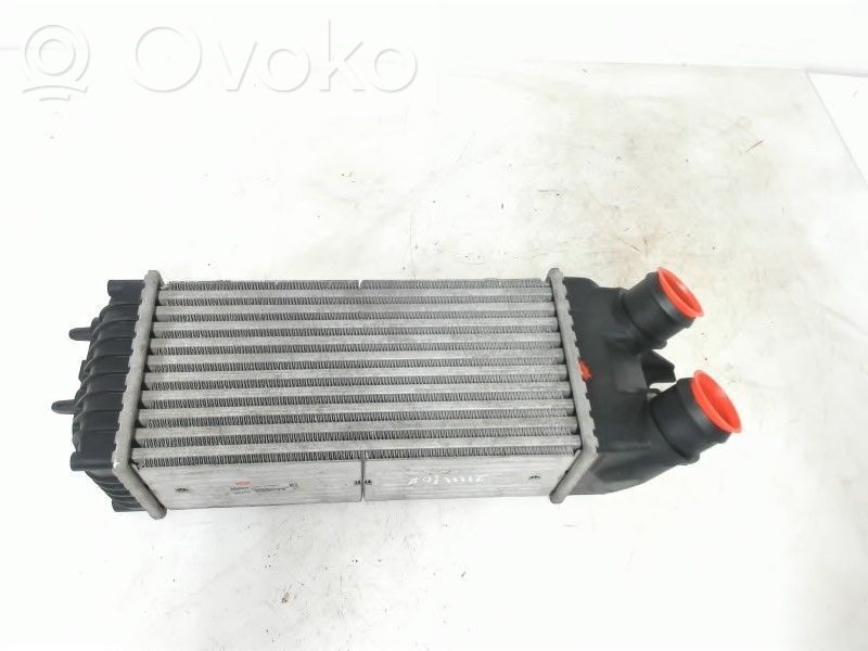 Citroen Xsara Picasso Radiatore intercooler 