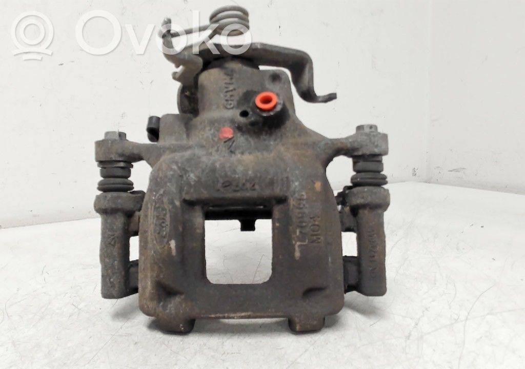 Takajarrusatula   GK212553BC