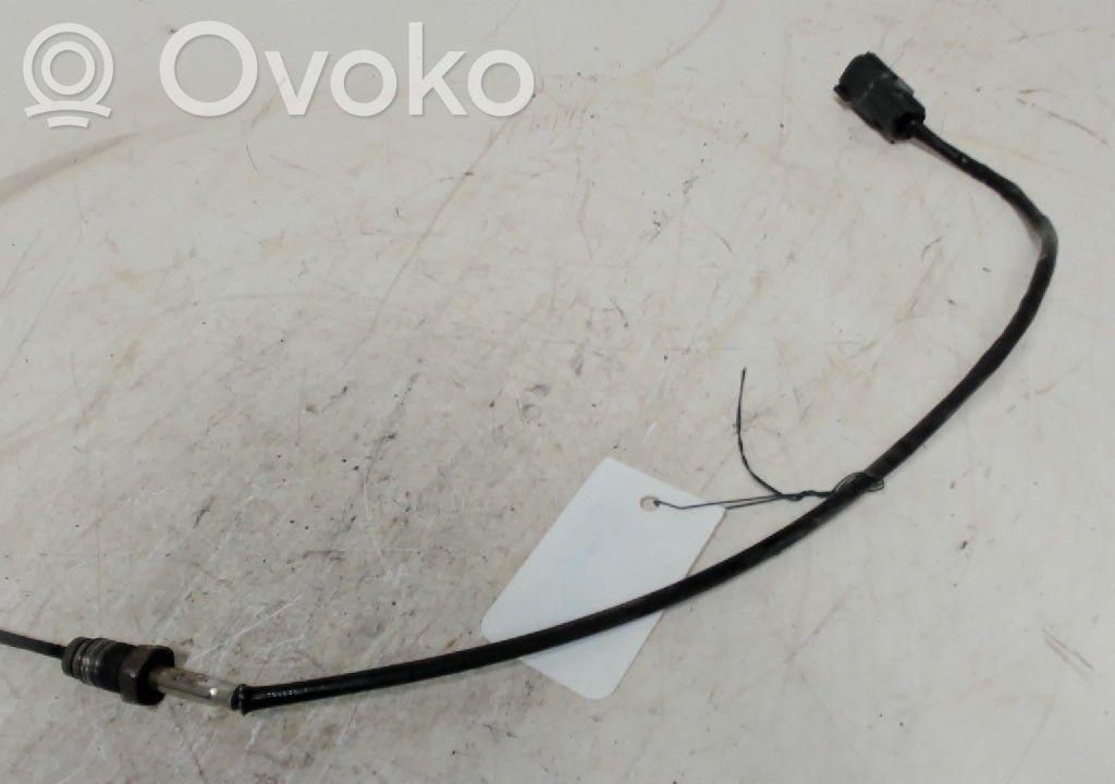 Abgastemperatursensor   2190895,JN1512B591EA