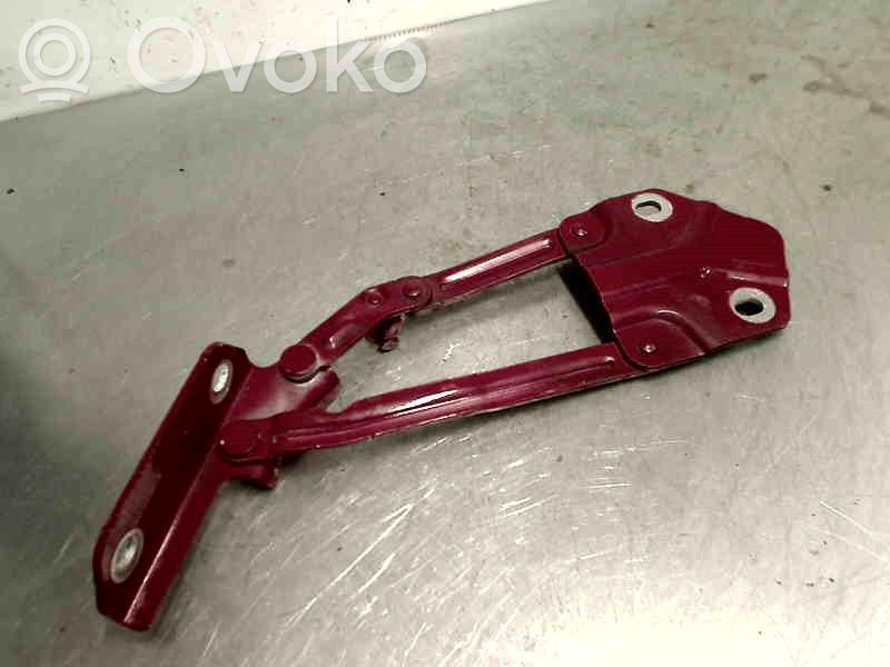 Volkswagen Touran I Cerniere del vano motore/cofano
