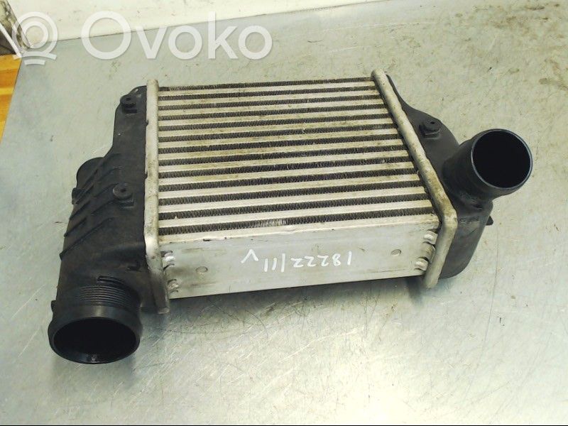Interkūlerio radiatorius   4F0145805AF