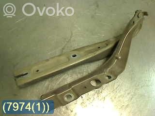 Peugeot 407 Balamale capotă 