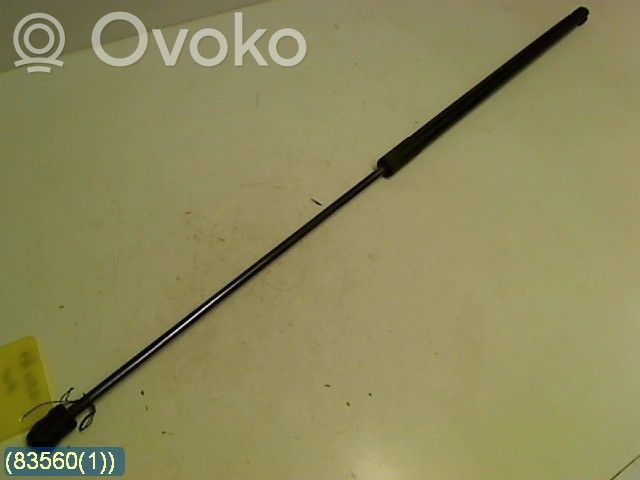 Volkswagen PASSAT B6 Front bonnet/hood damper/strut 
