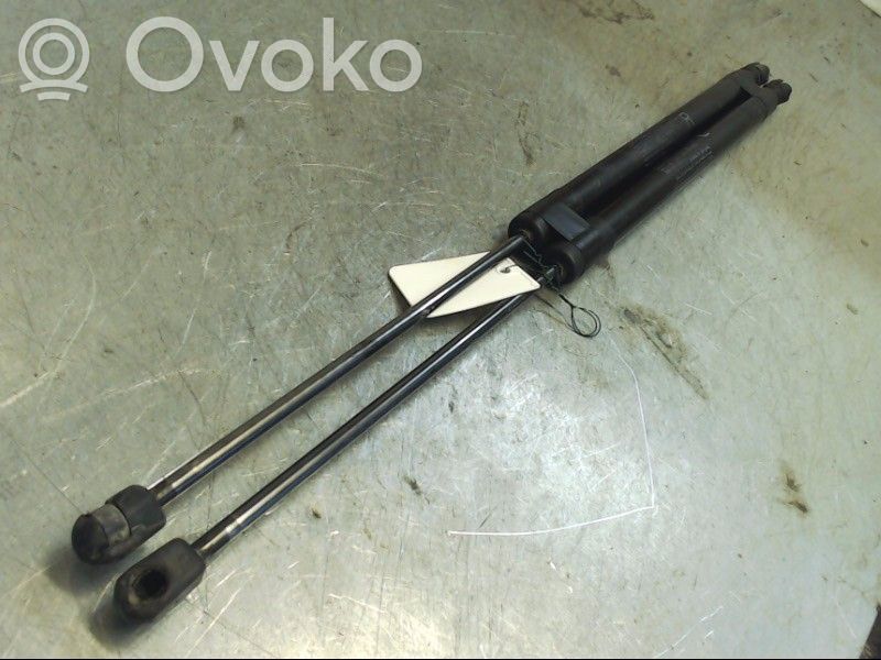 Tailgate strut   STABILUSLIFTOMAT
