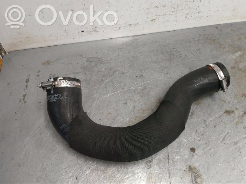 Intercooler hose/pipe   2165460,GK216C646AD