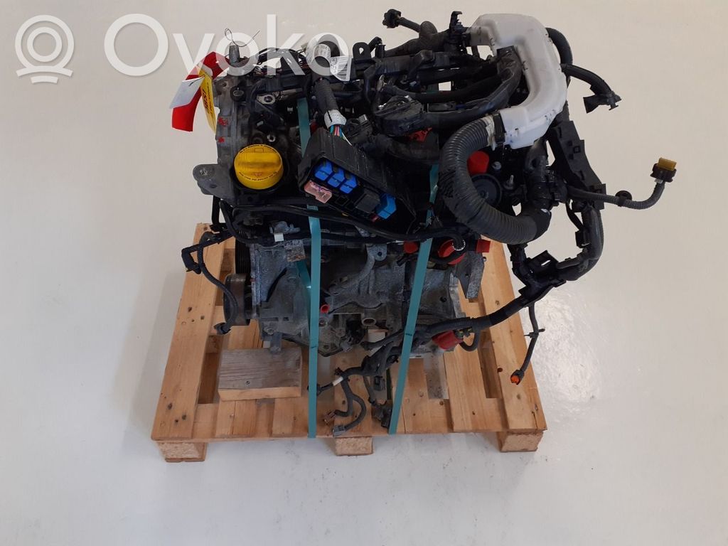 Motor