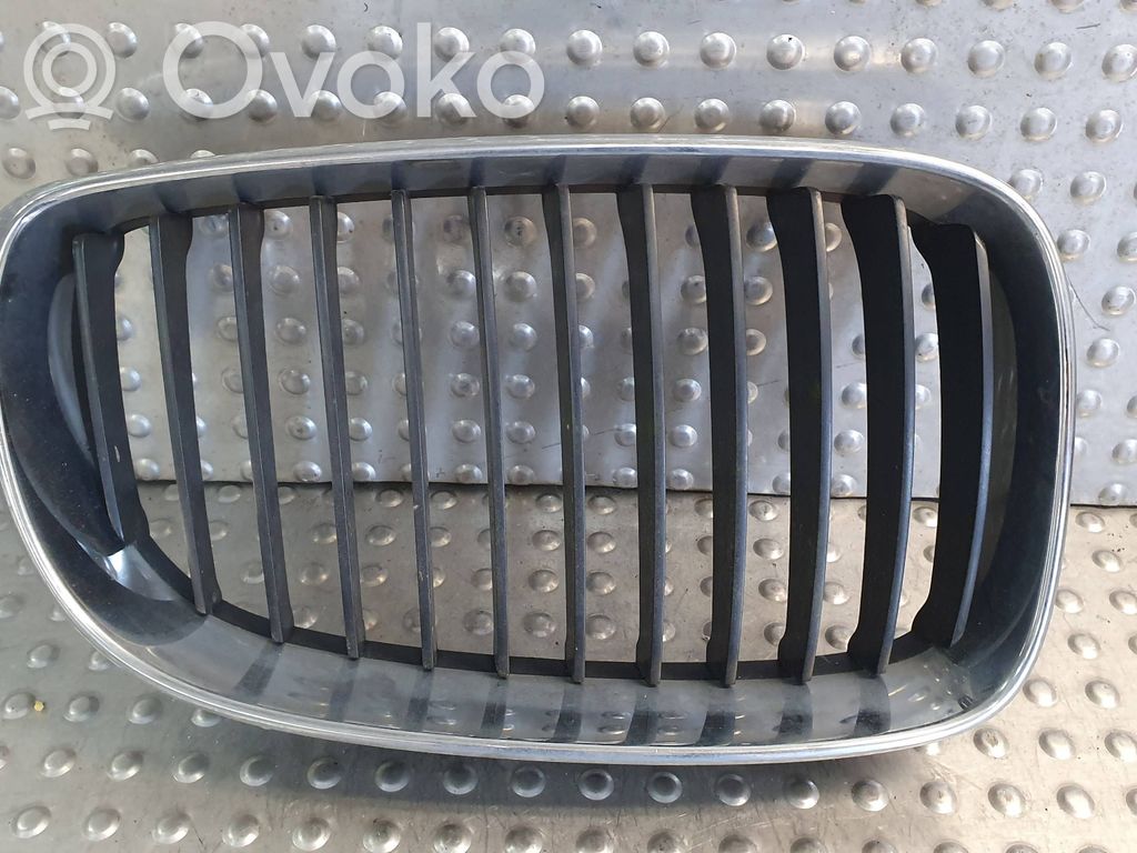 Kühlergrill   7166440