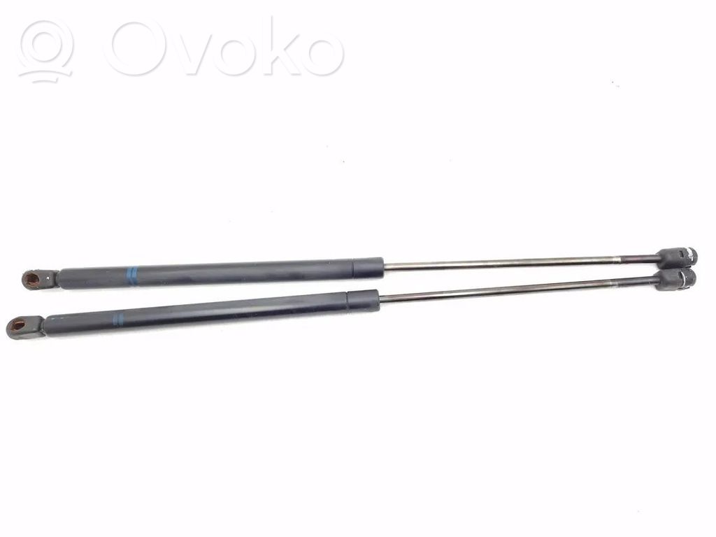 Ford Escort Tailgate/trunk strut/damper 
