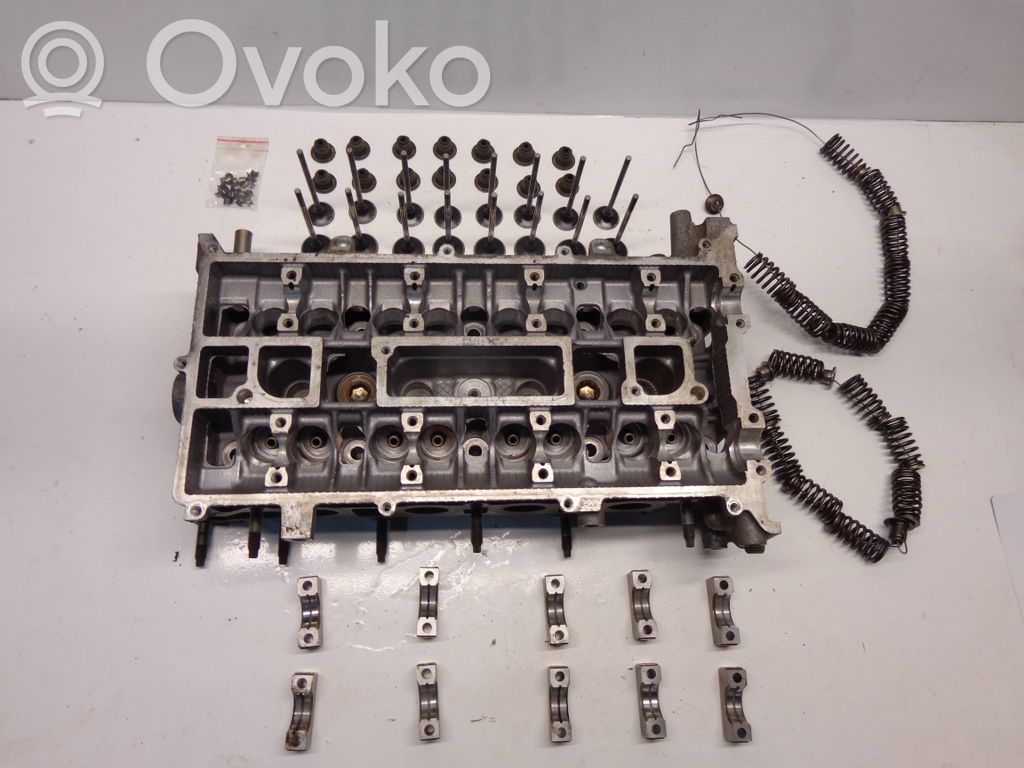 Galvutė   1S7G6090A3
