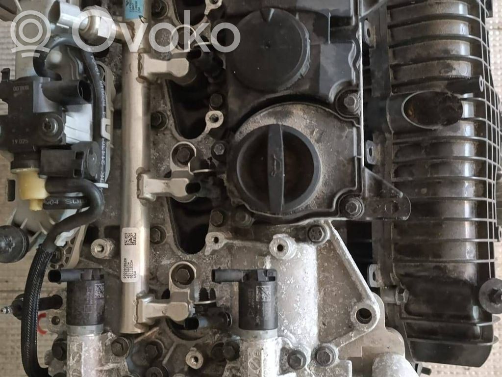 Variklis   B4204T34,B4204T34