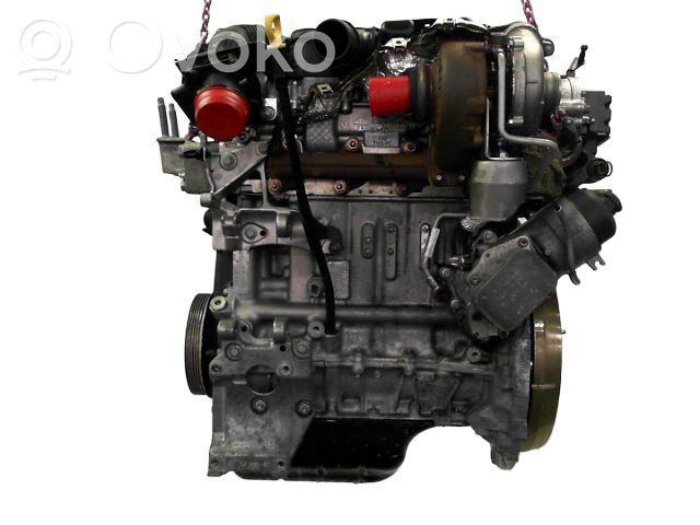 Ford Focus Variklis 