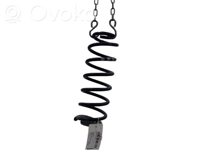 Arc elicoidal spate   550202720R,550202720R,994631