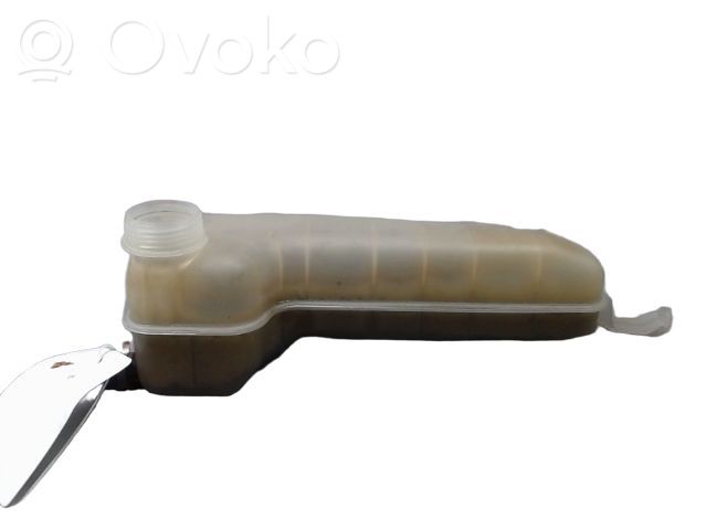 Renault Clio III Zbiornik wyrównawczy chłodziwa 