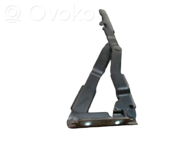 Citroen C8 Cerniere del vano motore/cofano 