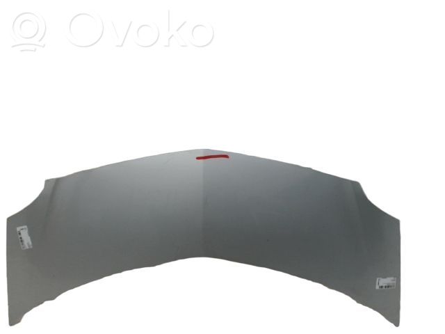Motorhaube   651001535R,651001535R