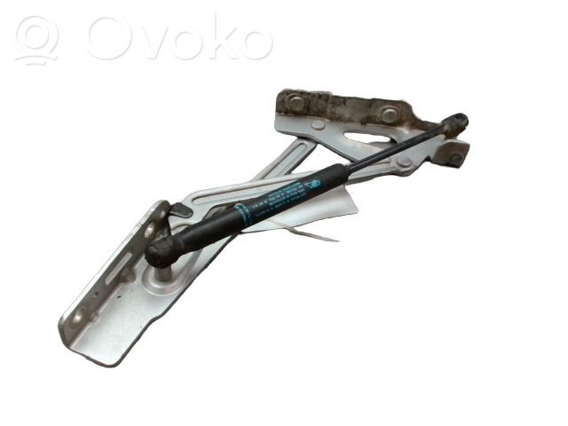 Peugeot 407 Bisagra del maletero/compartimento de carga 