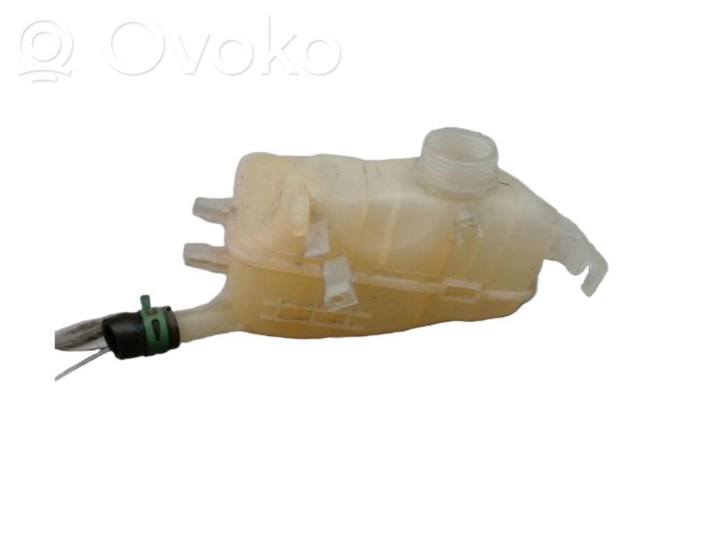 Renault Megane III Serbatoio di compensazione del liquido refrigerante/vaschetta 