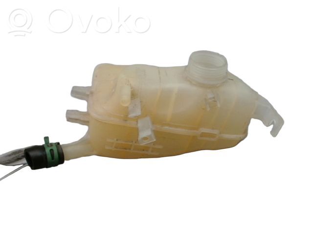 Renault Megane III Vas expansiune/rezervor lichid de răcire 