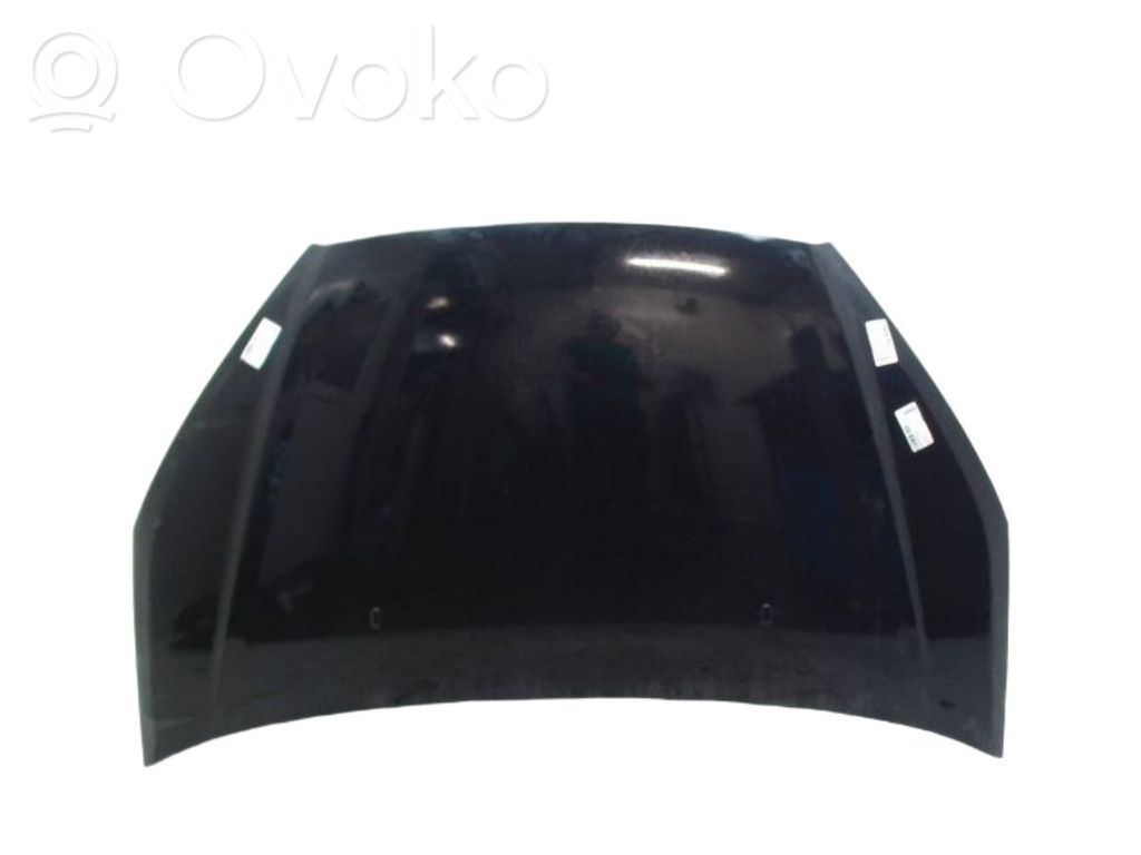 Vano motore/cofano   1693557,1693557