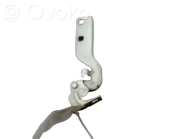 Citroen Jumper Engine bonnet/hood hinges 