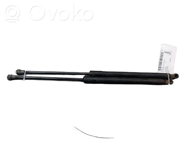 Audi A4 S4 B7 8E 8H Amortyzator klapy tylnej bagażnika 