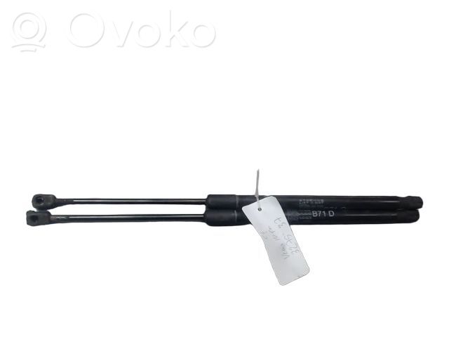 Citroen C4 II Vérin de capot arrière 