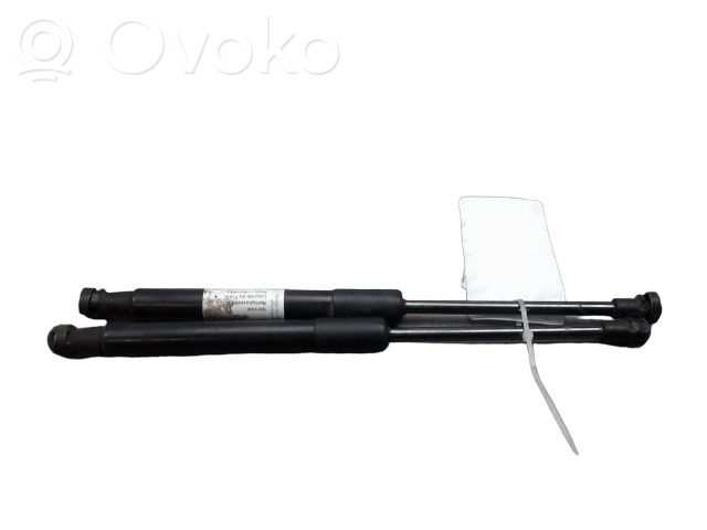 Audi Q5 SQ5 8R Front bonnet/hood damper/strut 