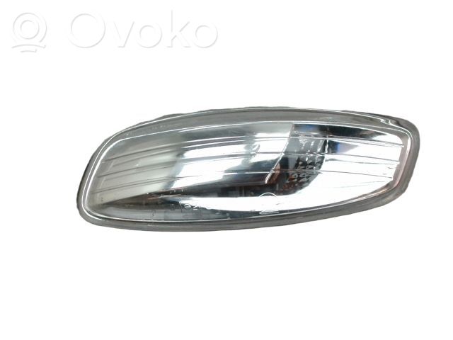 Citroen C5 Spiegelblinker 