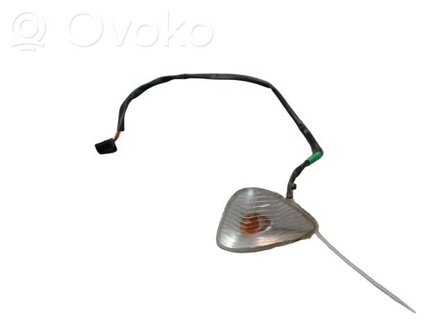 Renault Modus Mirror indicator light 