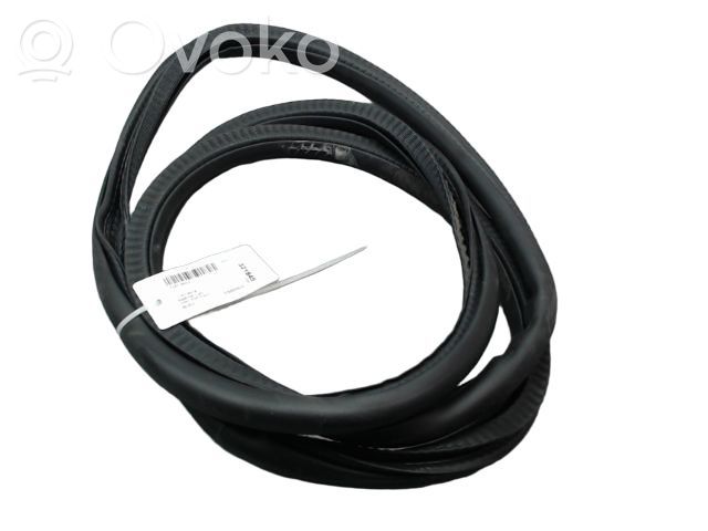 Fiat 500X Front door rubber seal 