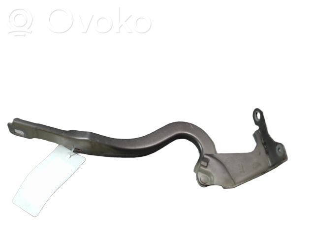 Peugeot 308 Cerniere del vano motore/cofano 