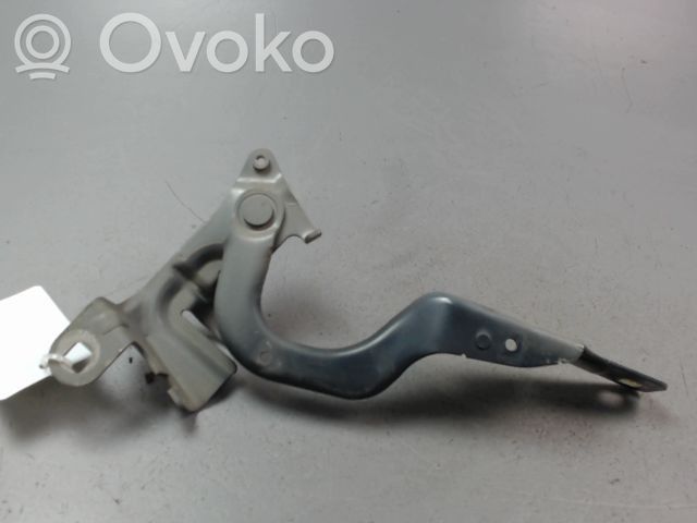 Renault Captur Balamale capotă 