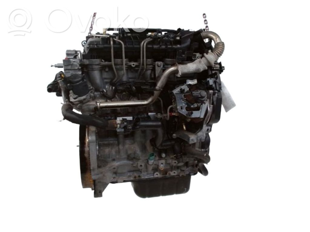 Citroen Berlingo Motor 