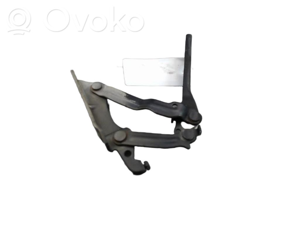 Volkswagen Golf VI Cerniere del vano motore/cofano 