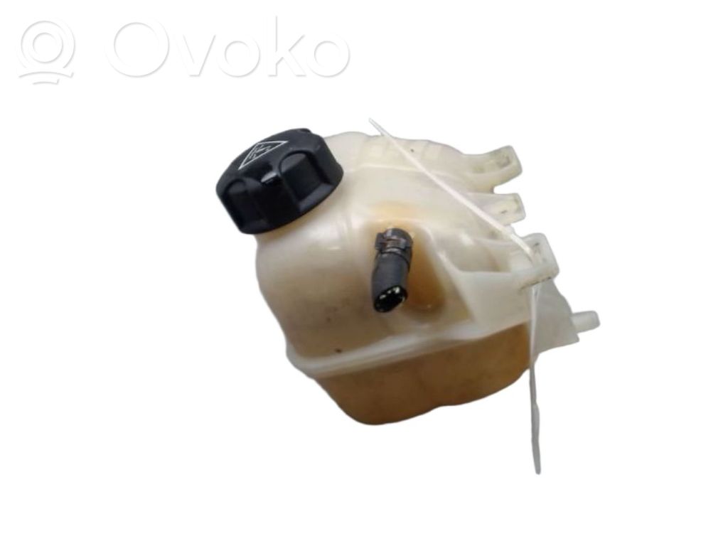 Mini One - Cooper Coupe R56 Vas expansiune/rezervor lichid de răcire 