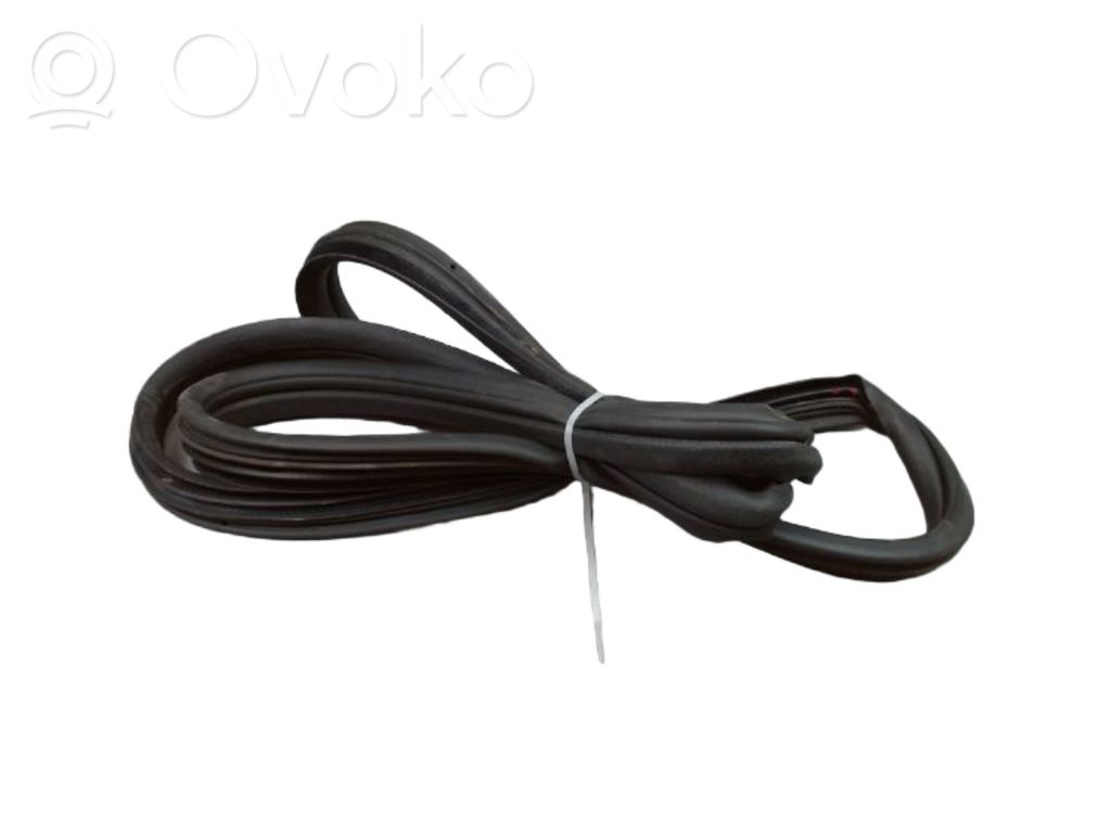 Renault Clio III Rear door rubber seal (on body) 