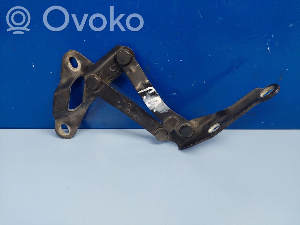 Volkswagen Sharan Engine bonnet/hood hinges 