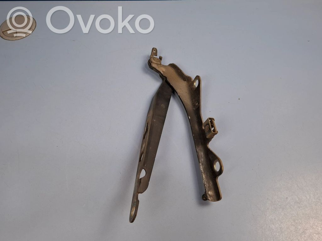 Volvo S60 Engine bonnet/hood hinges 