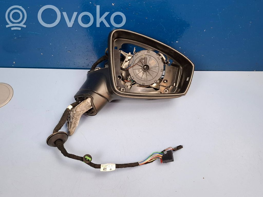 Volkswagen Tiguan Elektryczne lusterko boczne drzwi przednich 