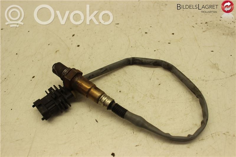 Lambda probe sensor   55563348,55563348,55563348