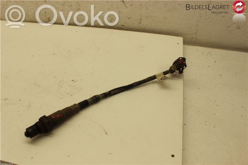 Lambda probe sensor   55562206