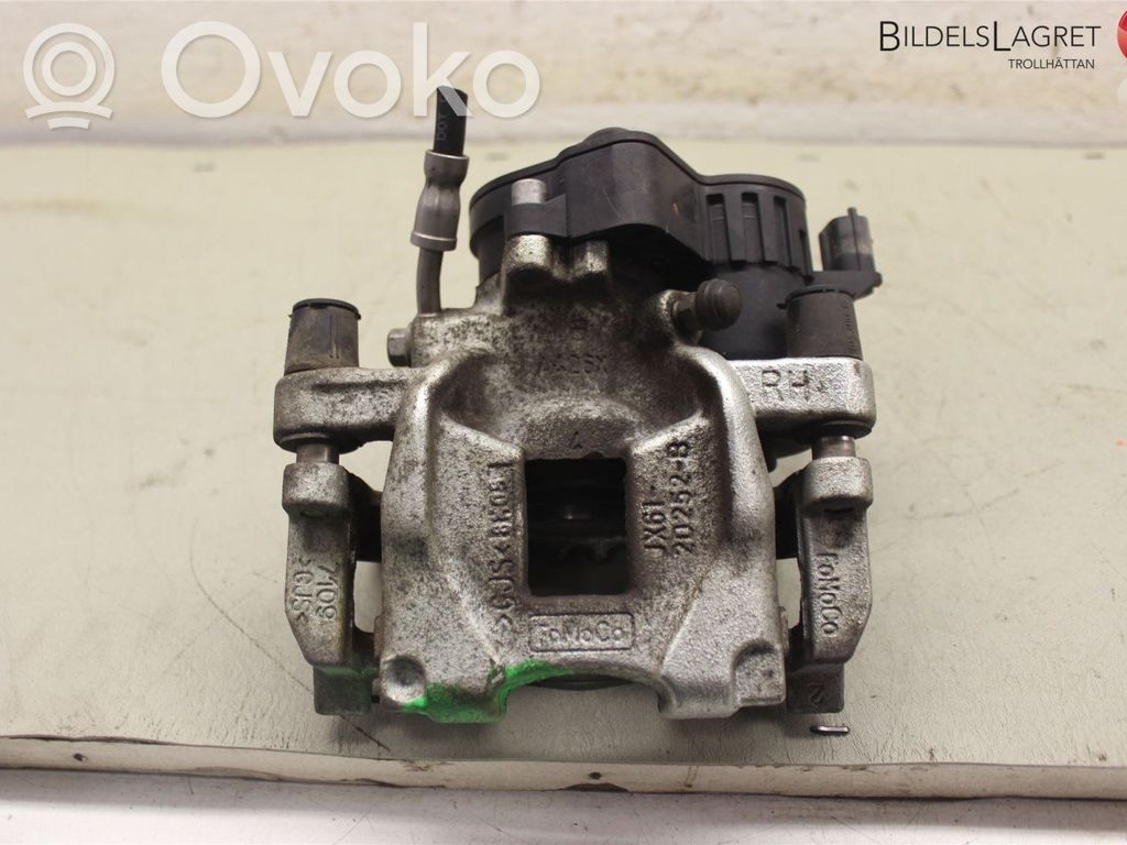 Ford Focus Galinis suportas 