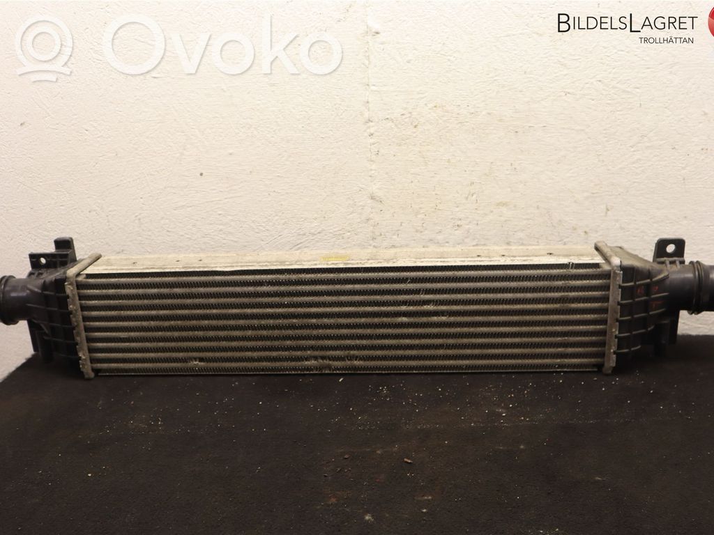 Interkūlerio radiatorius   95026333