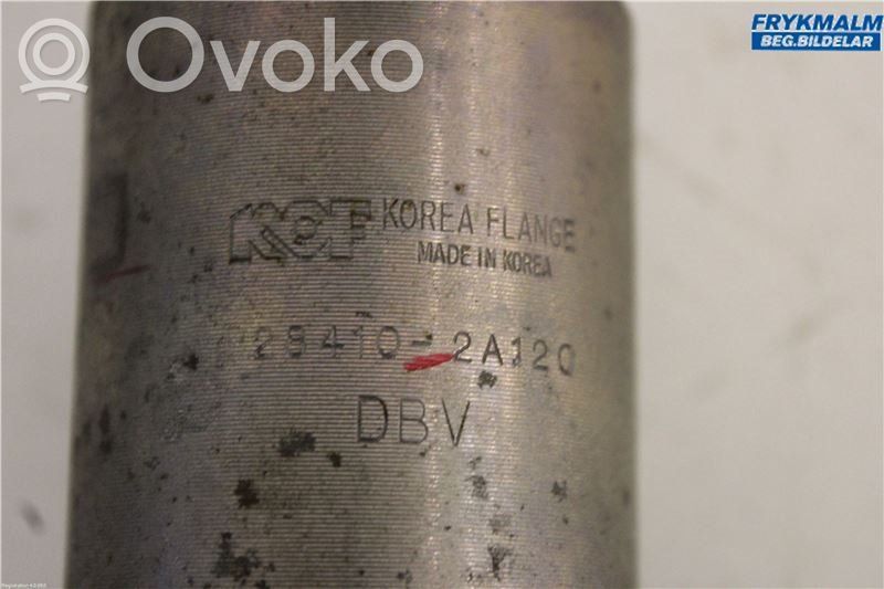 EGR vožtuvas   284102A120,284102A120,284102A120