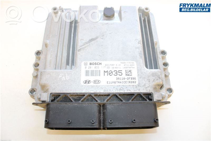 Injection control unit/module   391102FBB6,0281033117,0281033117
