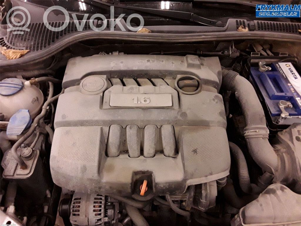 Skoda Octavia Mk2 (1Z) Motor 