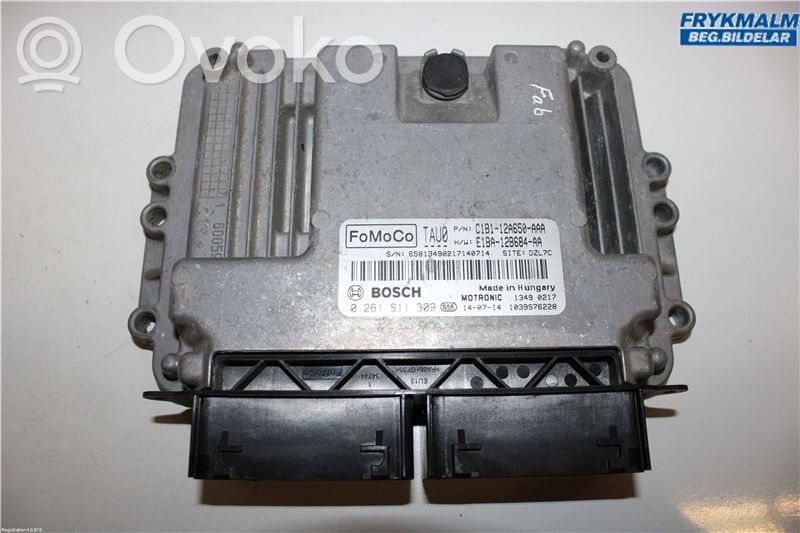 Ford Fiesta Injection control unit/module 