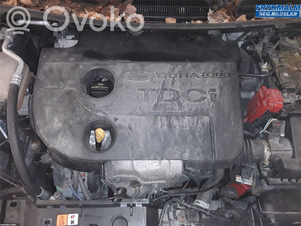 Ford Fiesta Motor 